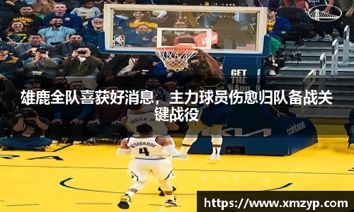 雄鹿全队喜获好消息，主力球员伤愈归队备战关键战役